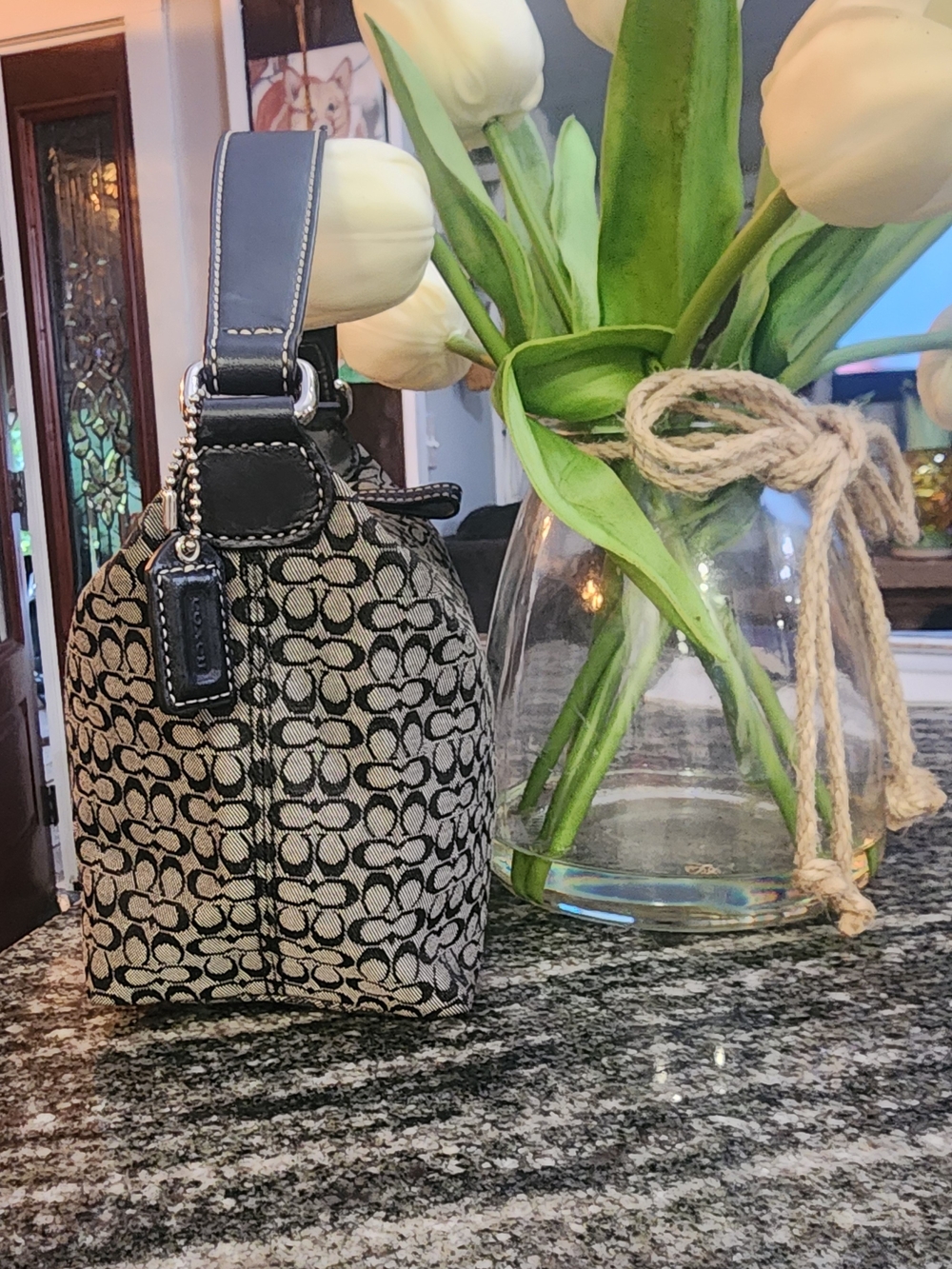 Coach Soho Mini Signature Canvas  Bag - Picture 8 of 12